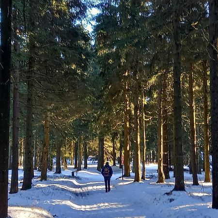 Ferienwohnung Tannenblick 6-2 Oberhof  Bagian luar foto